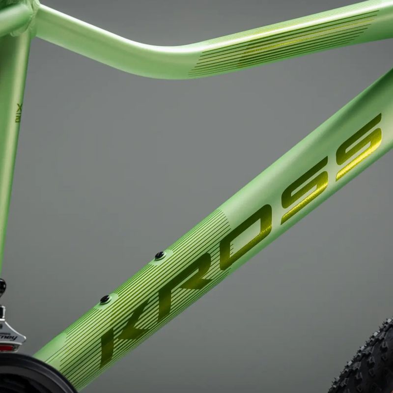 Női mountain bike KROSS Lea X200 W 29 green/green/matte 12
