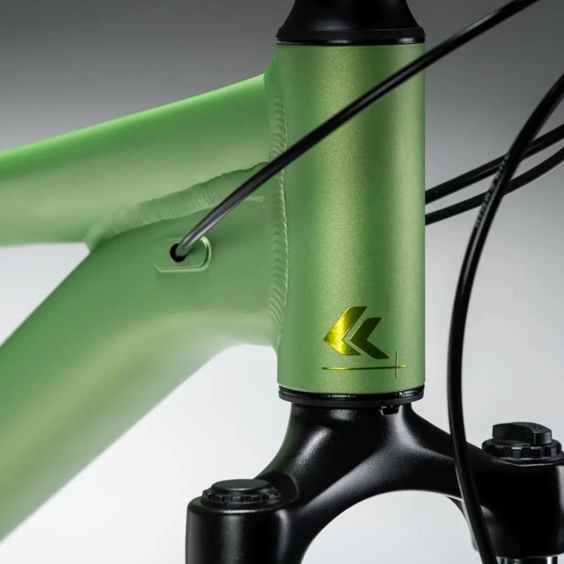 Női mountain bike KROSS Lea X200 W 29 green/green/matte 14