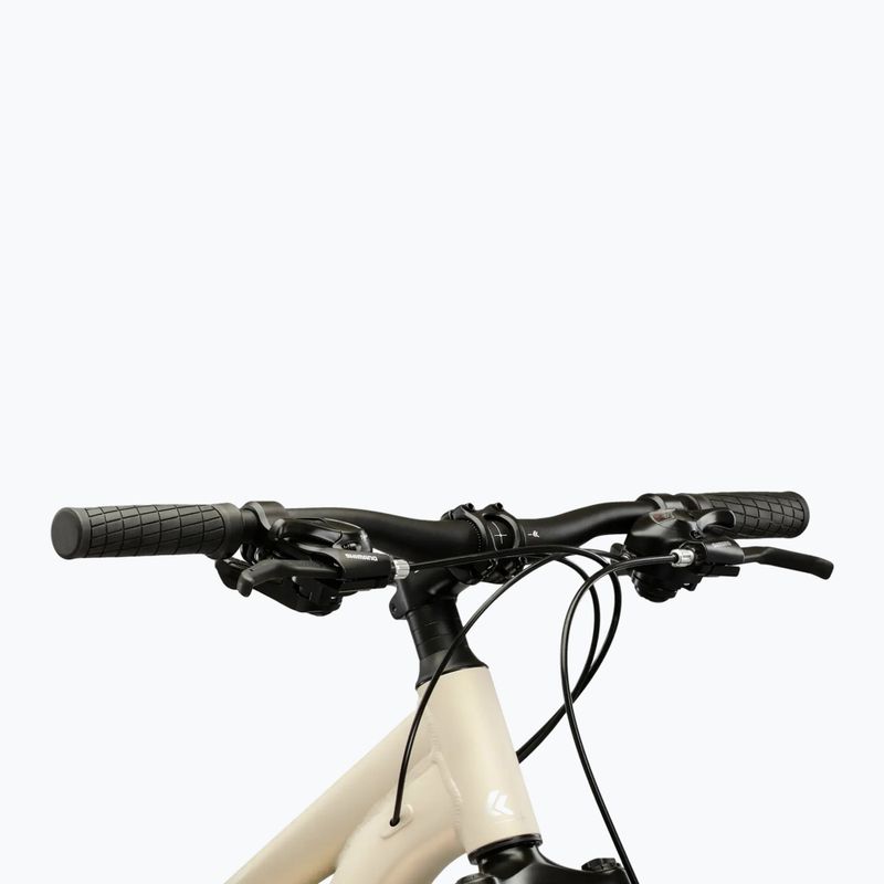 Női mountain bike KROSS Lea X200 W 29 silver/silver/matte 4