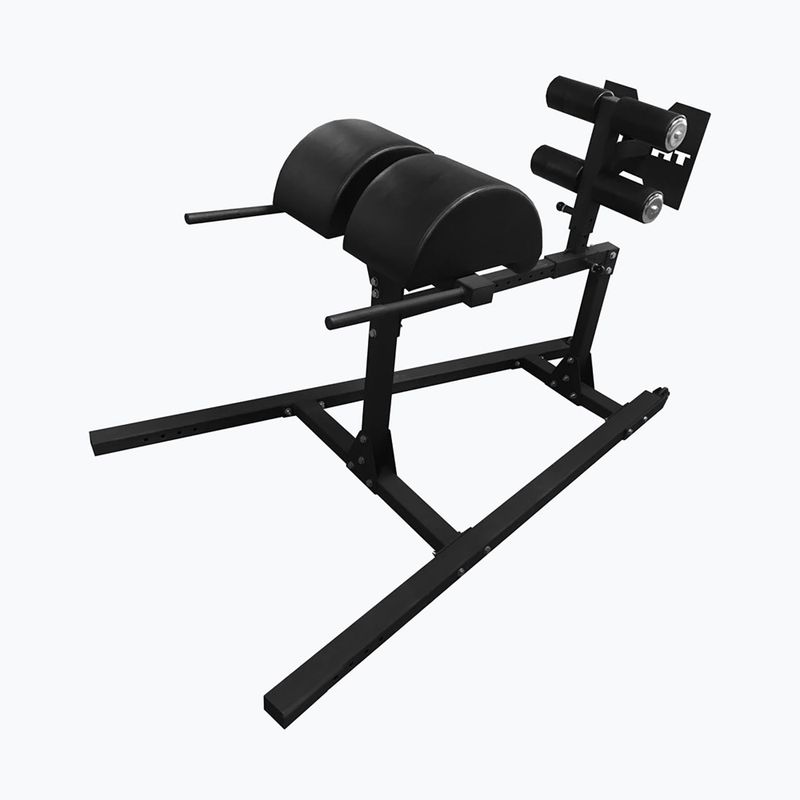 Bicepsz edzőgép THORN FIT GHD-1 gym black 2