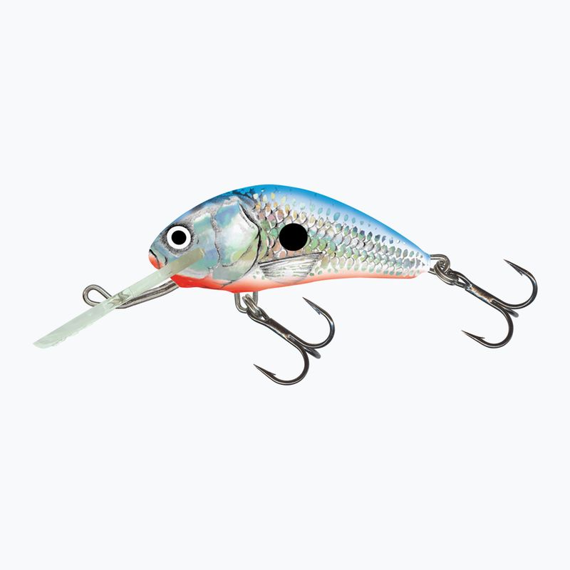 Salmo Hornet FL silver blue shad QHT084