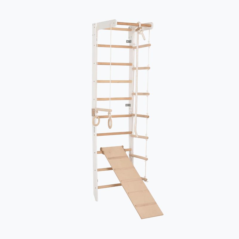 RINAGYM SPR B+SLIDE torna létra 3