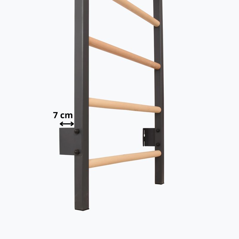 Gimnasztikai létra RINAGYM Steel 1 graphit 10