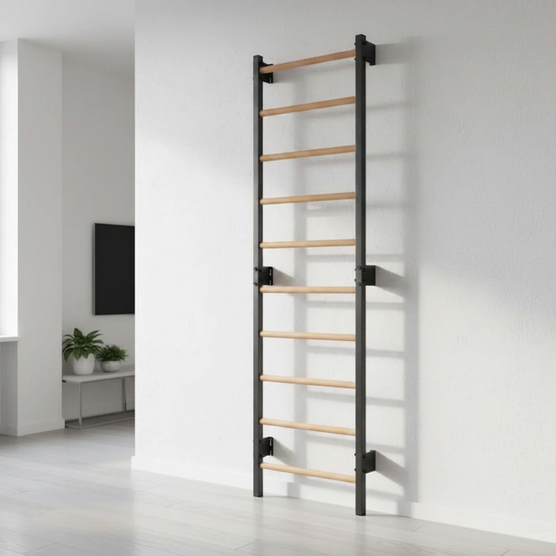 Gimnasztikai létra RINAGYM Steel 1 graphit 11