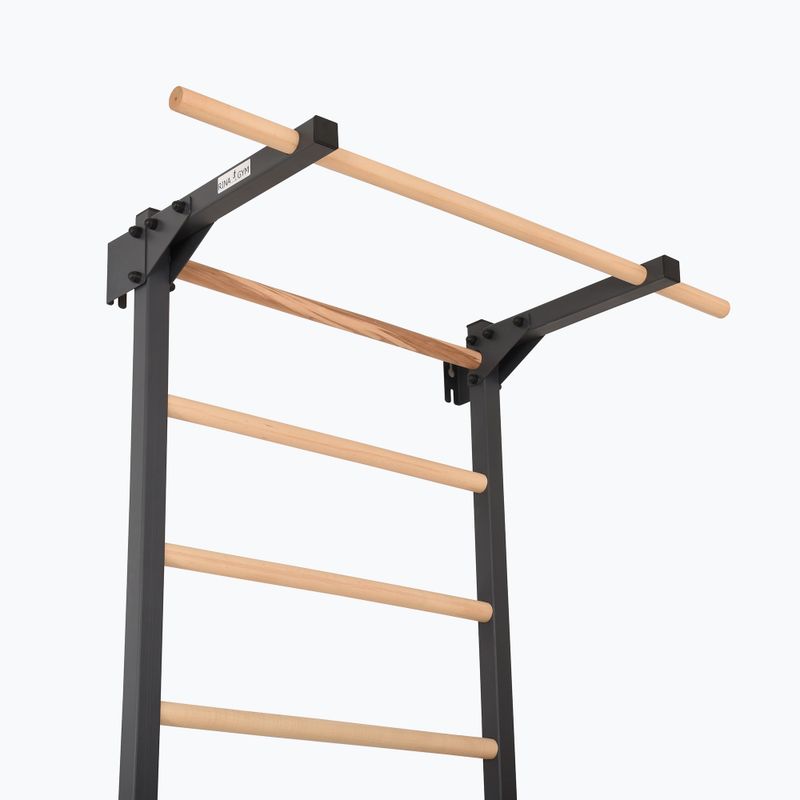 Gimnasztikai létra RINAGYM Steel Pure graphit 5