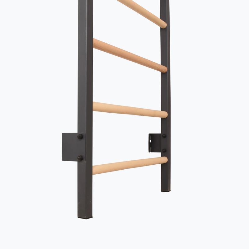 Gimnasztikai létra RINAGYM Steel Pure graphit 9