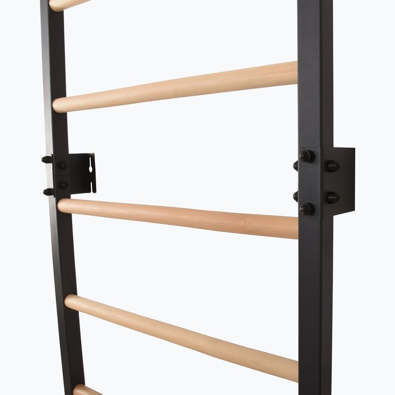 Gimnasztikai létra RINAGYM Steel Pure graphit 10