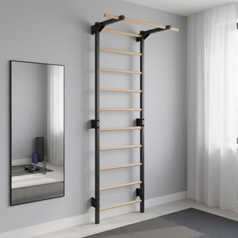 Gimnasztikai létra RINAGYM Steel Pure graphit 14