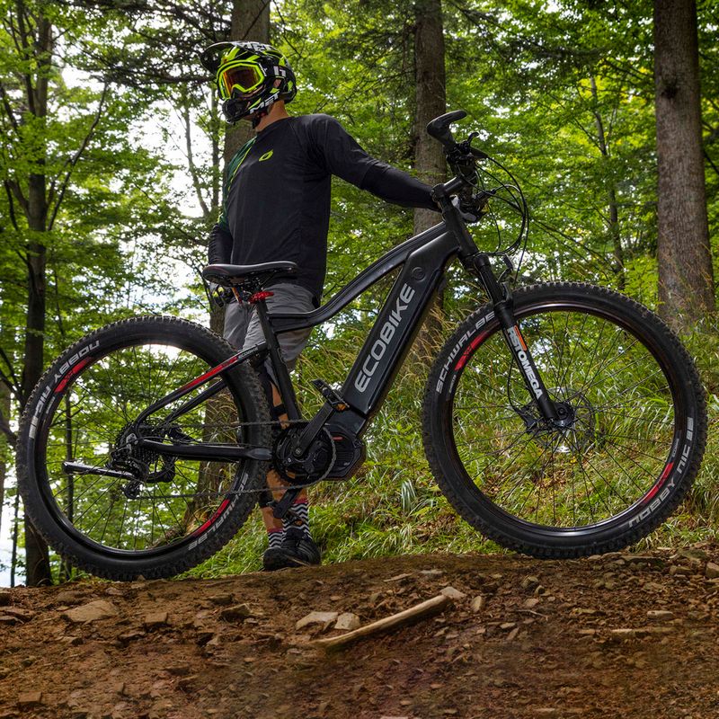 Elektromos kerékpár Ecobike RX500 17,5Ah LG fekete 1010406 19