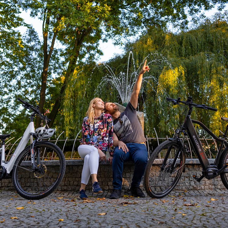 Elektromos kerékpár Ecobike MX300 LG fekete 1010307 18