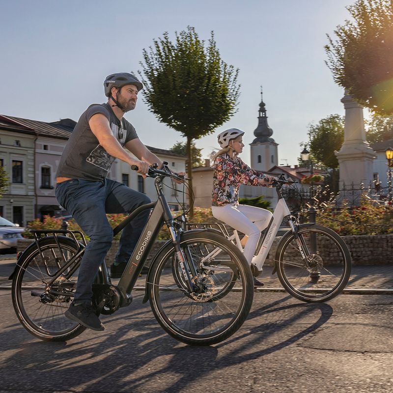 Elektromos kerékpár Ecobike MX300 LG fekete 1010307 19