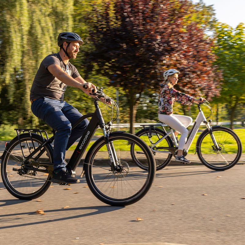 Elektromos kerékpár Ecobike MX300 LG fekete 1010307 20