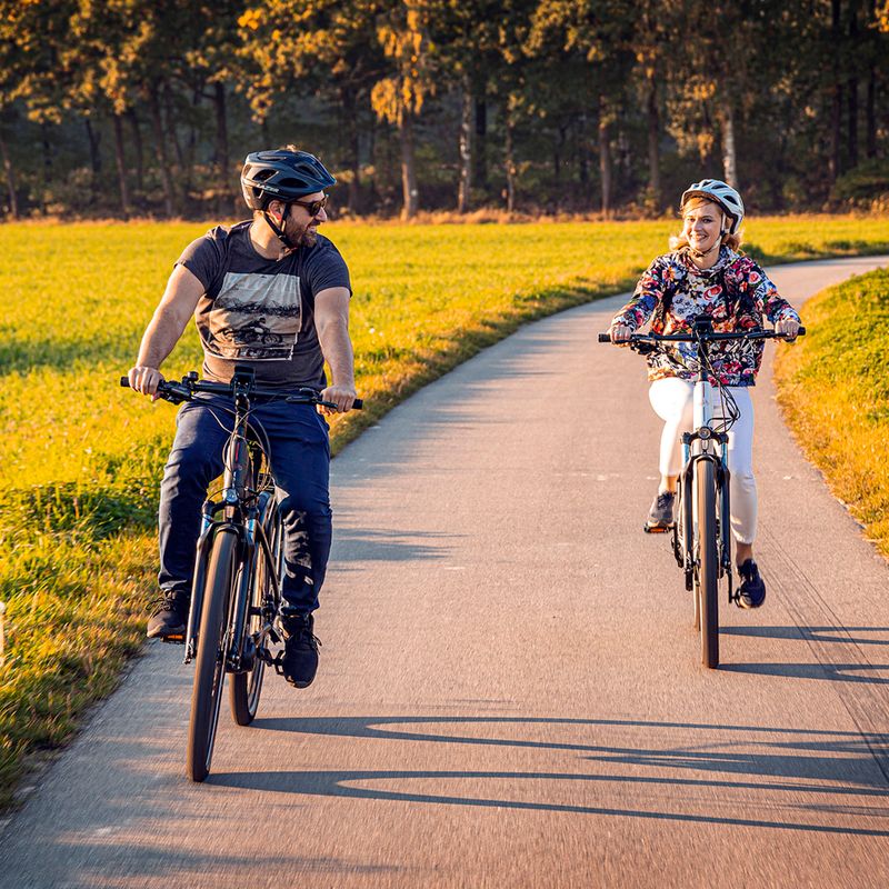 Elektromos kerékpár Ecobike MX300 LG fekete 1010307 21