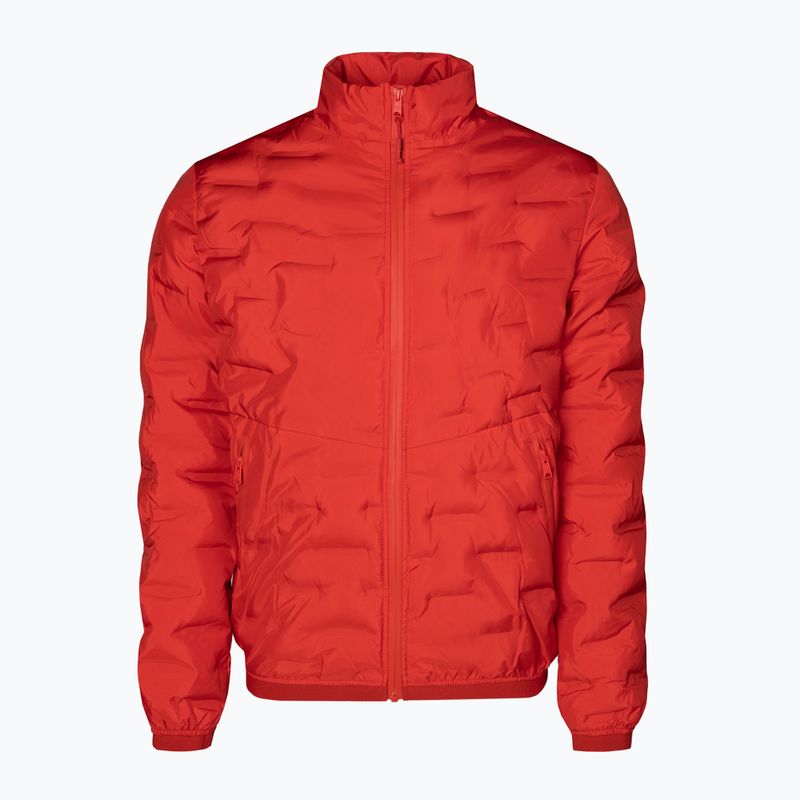 Férfi pehelykabát Pitbull West Coast Overton red