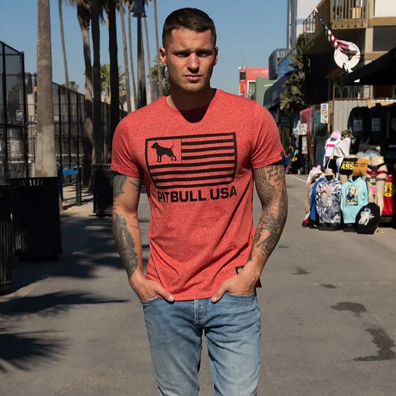 Férfi póló Pitbull West Coast T-S Pitbull West Coast USA red 8