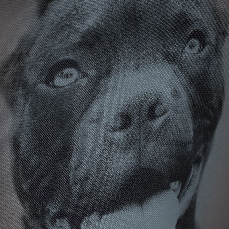 Férfi hátizsák Pitbull West Coast Pitbull Ir black/grey 12