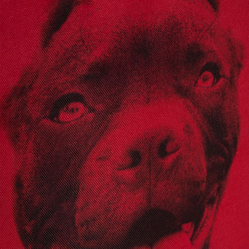 Férfi hátizsák Pitbull West Coast Pitbull Ir black/red 13