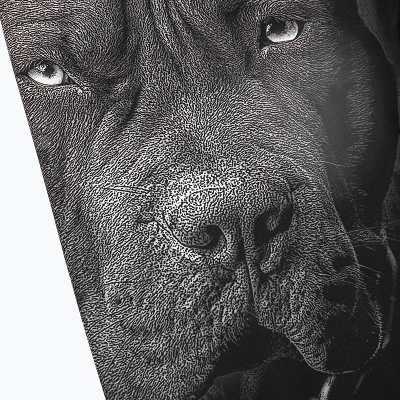 Férfi leggings Pitbull West Coast Born in 1989 black 3