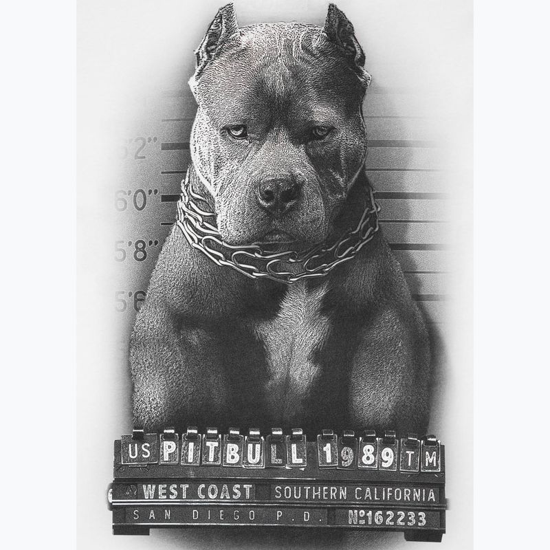 Férfi póló Pitbull West Coast Mugshot 2 white 8