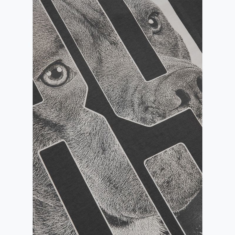 Pitbull Eighty Nine Dog férfi póló grafit 12