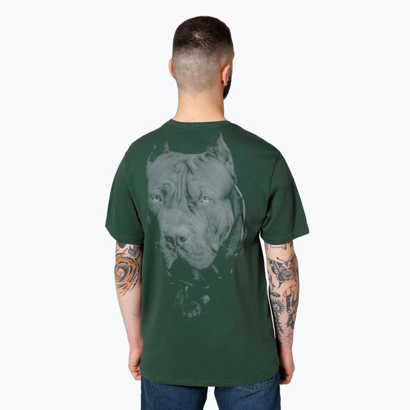 Férfi póló Pitbull West Coast Born In 1989 grassy green 3