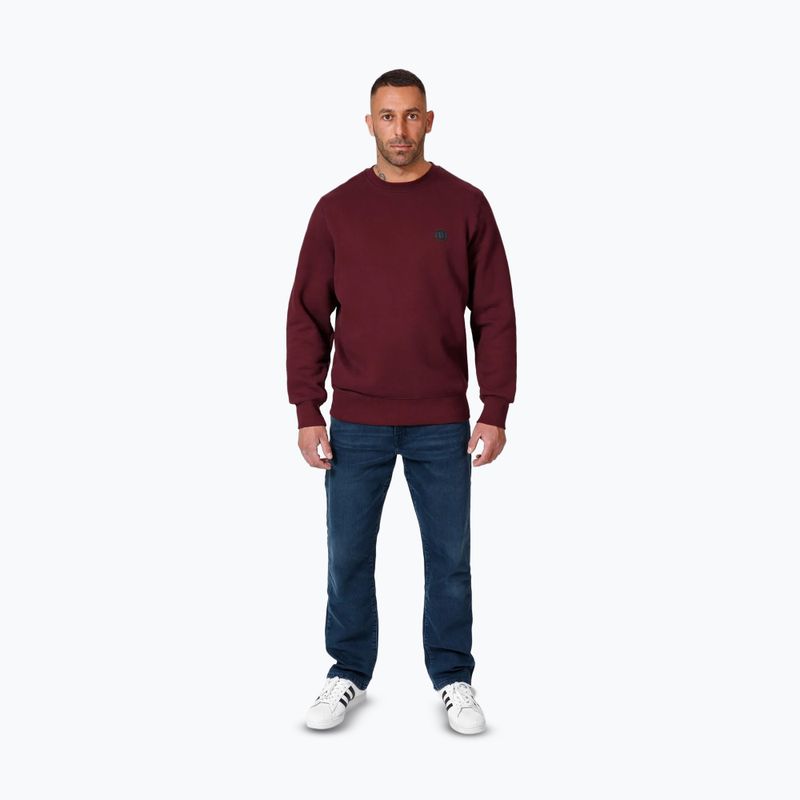 Férfi pulóver Pitbull Small Logo Crewneck burgundy 2