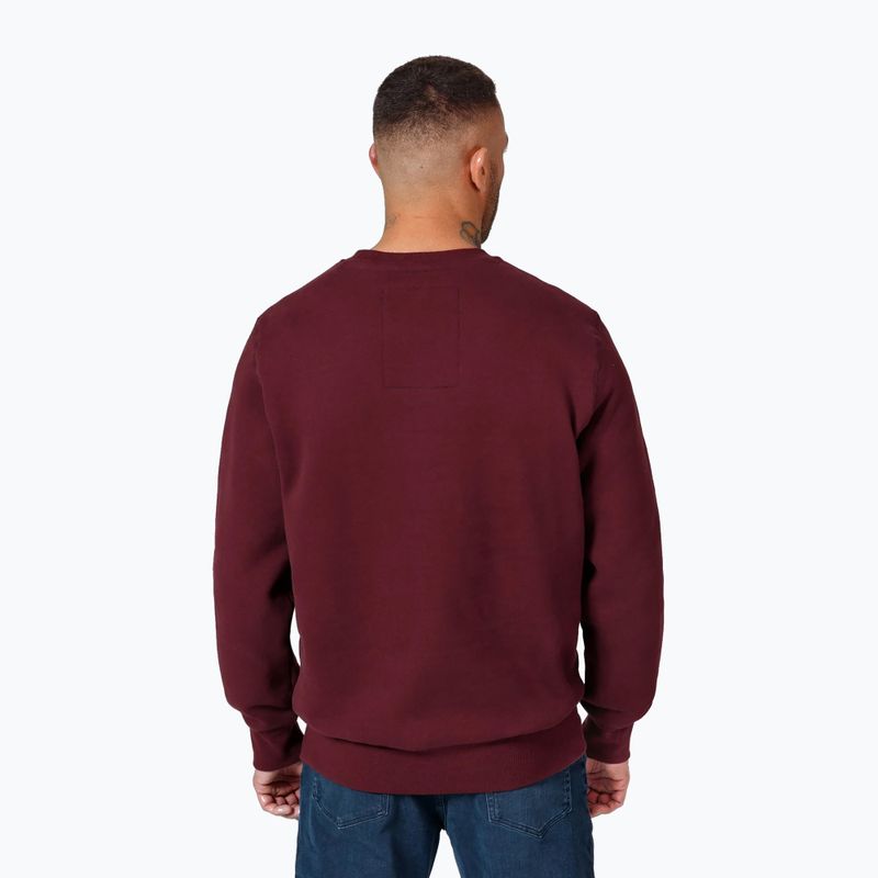 Férfi pulóver Pitbull Small Logo Crewneck burgundy 3