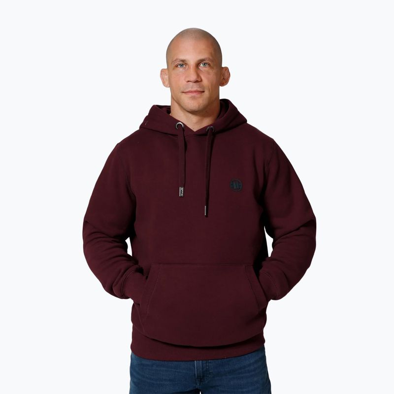Férfi pulóver Pitbull Small Logo Hooded burgundy