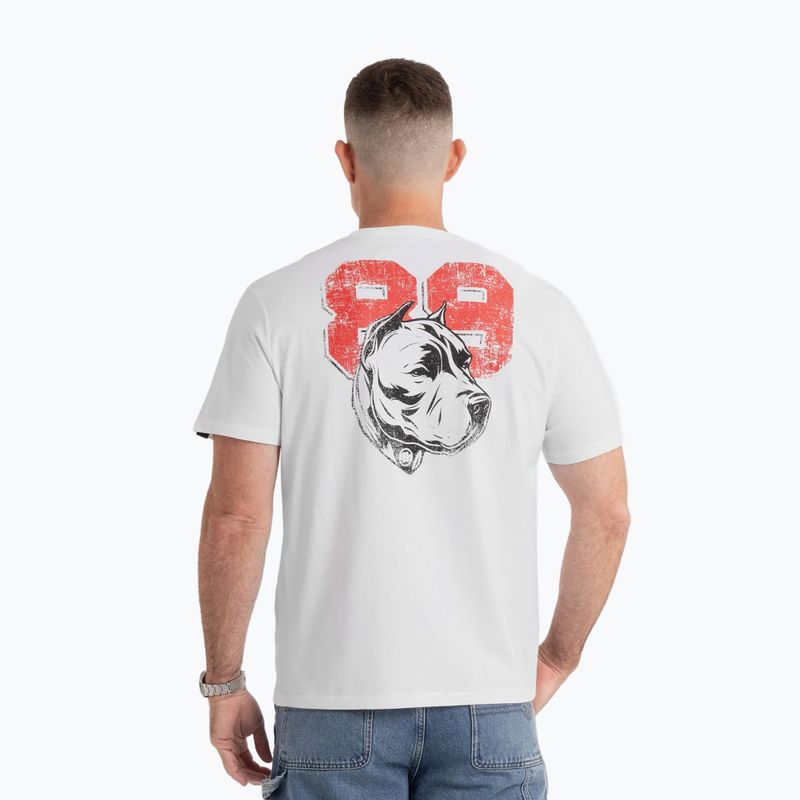 Pitbull kutya 89 póló fehér 3