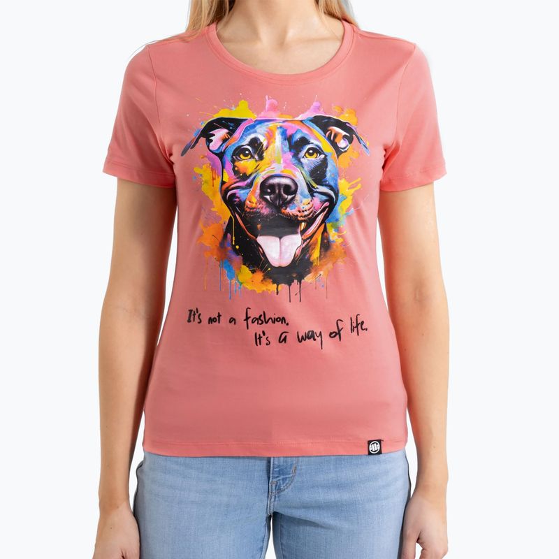 Pitbull női póló Akvarell korall színű póló 4