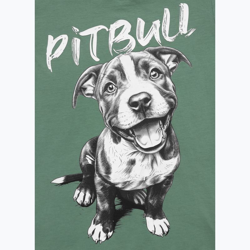 Pitbull Puppy 2 női póló menta 7