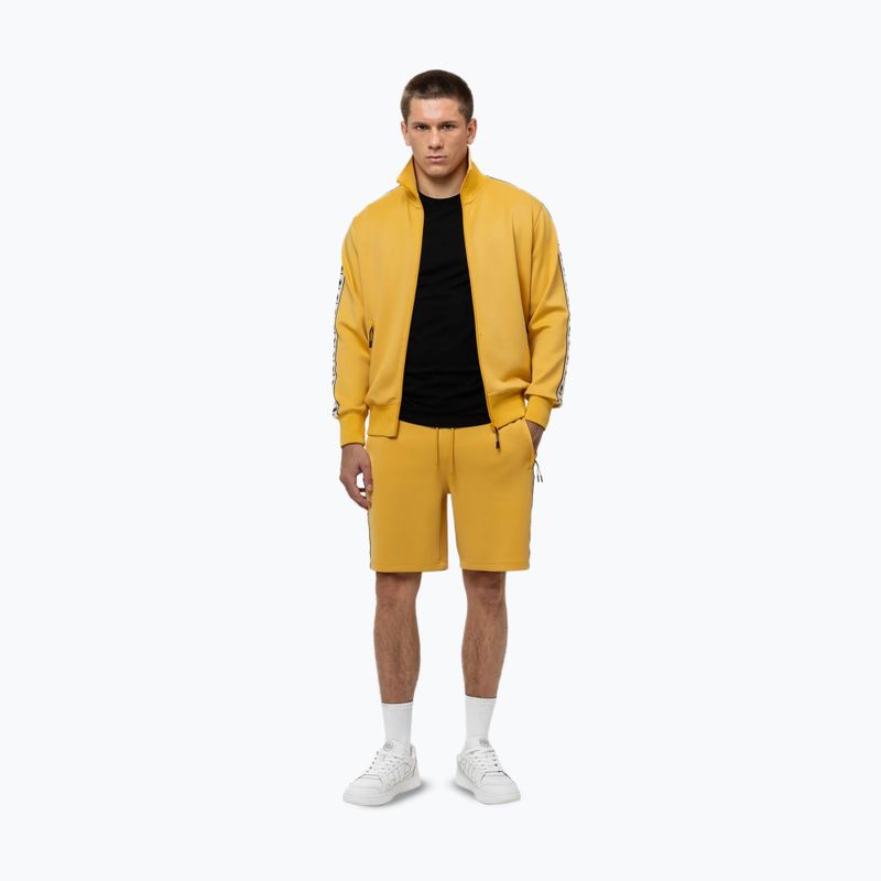 Férfi Pitbull Track Jacket Powers halványsárga színben 2