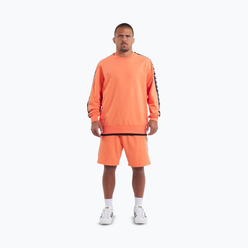 Férfi Pitbull Tape Nugget Crewneck Sweatshirt világos lazac 2