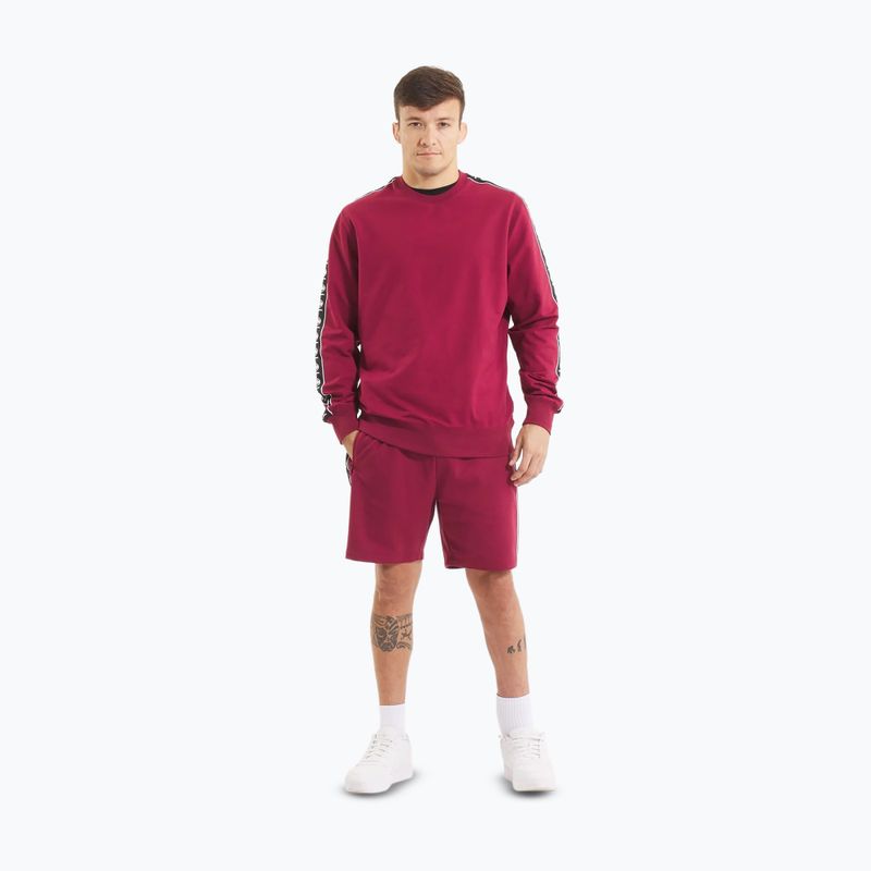 Férfi Pitbull Tape Nugget Crewneck pulóver burgundi 2