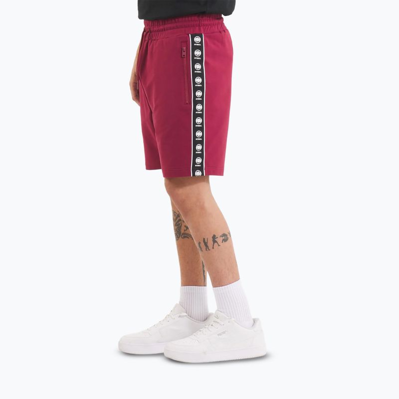 Férfi Pitbull Tape Nugget rövidnadrág burgundi 4