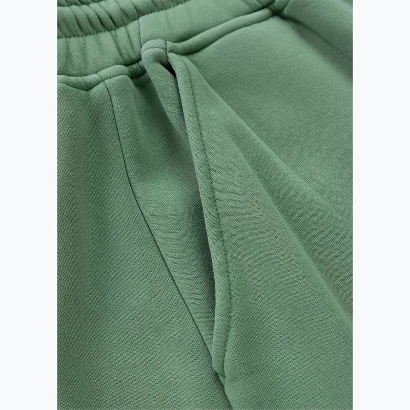 Férfi Pitbull Lancaster 2 Track Pants mosott zöld 7