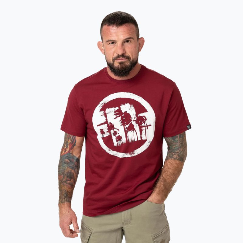 Férfi Pitbull Logo Palms póló burgundi