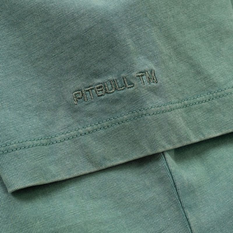 Pitbull Cruisinandboozin női póló menta 8