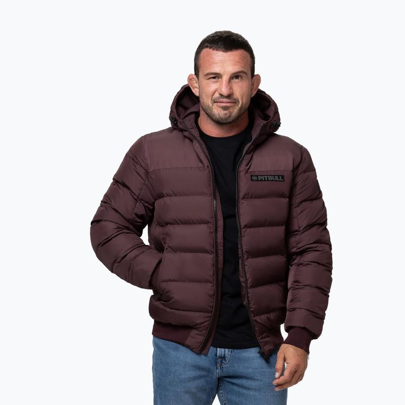 Férfi télikabát Pitbull Dillon Quilted Hooded burgundy 4