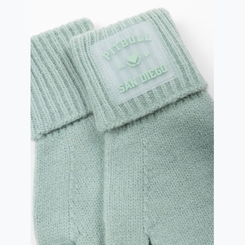 Kesztyűk Pitbull Love PB light mint 2