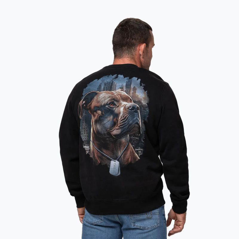 Férfi pulóver Pitbull Crewneck Hero black 3
