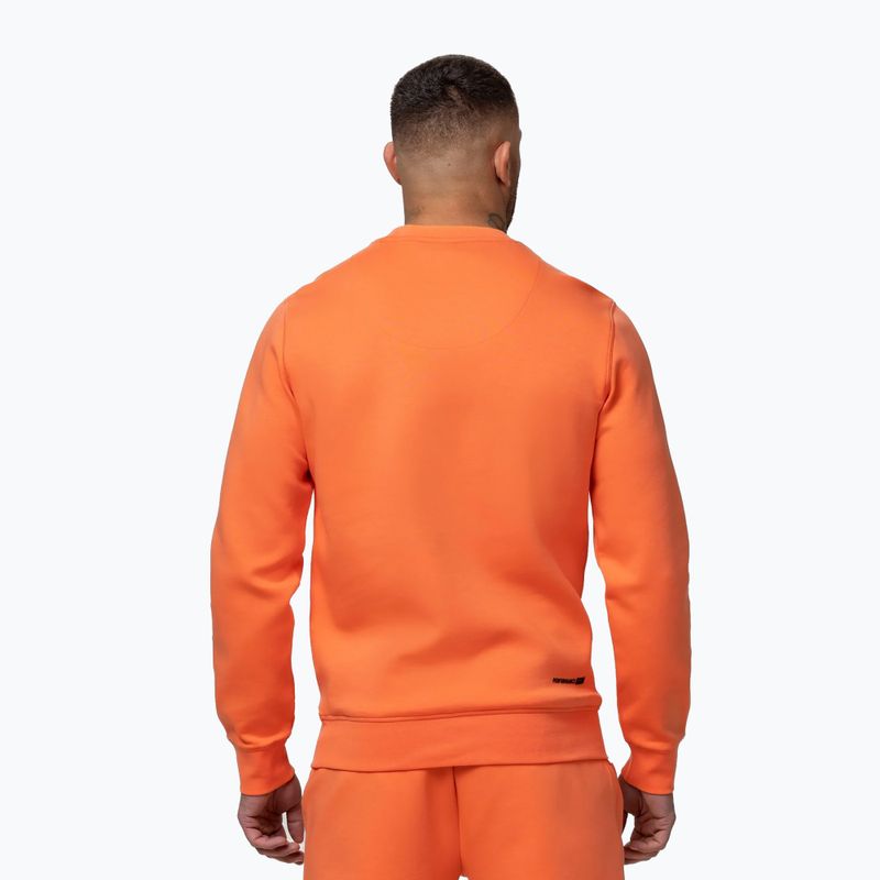 Férfi pulóver Pitbull Dogwood Crewneck Sweatshirt fluo orange 3
