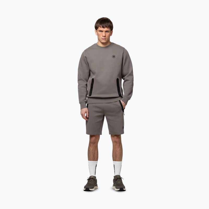 Férfi pulóver Pitbull Dogwood Crewneck Sweatshirt taupe 2