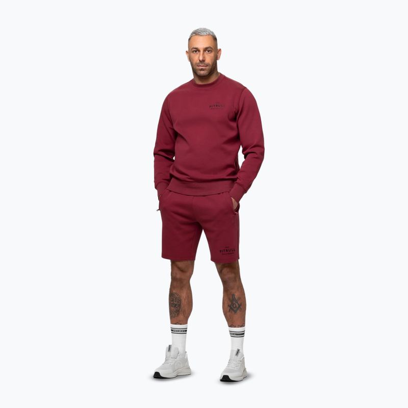 Férfi pulóver Pitbull Sampson Crewneck Sweatshirt burgundy 4