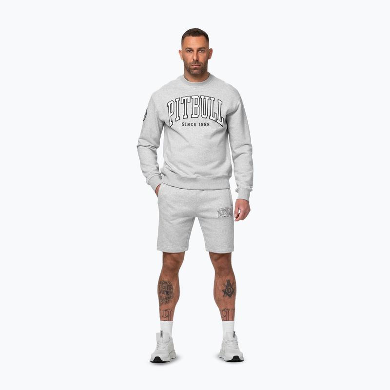 Férfi pulóver Pitbull Badger Crewneck grey/melange 2