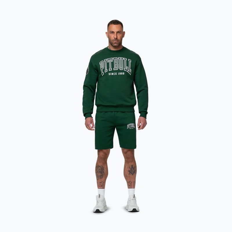 Férfi pulóver Pitbull Badger Crewneck hunter/green 2