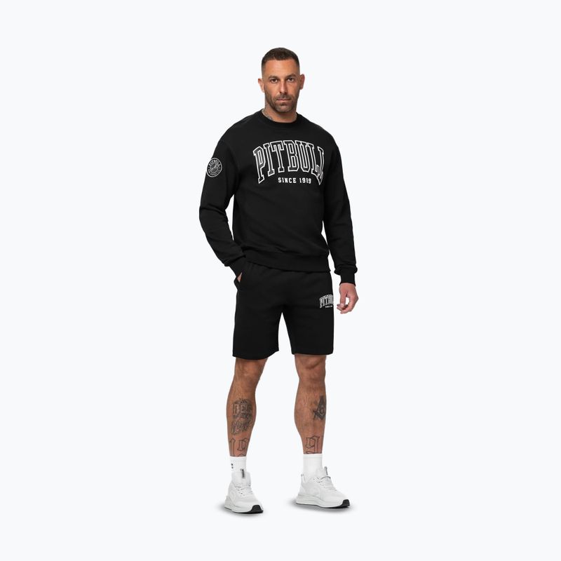Férfi pulóver Pitbull Badger Crewneck black 2
