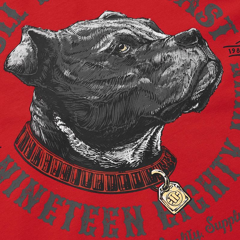 Férfi pulóver Pitbull Strenght & Respect Sweatshirt Hooded red 9