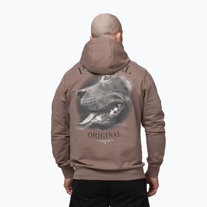 Férfi pulóver Pitbull Midnight Sweatshirt Hooded brown savana 3