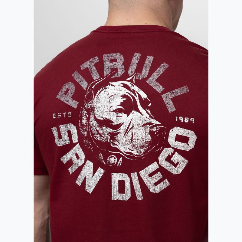 Férfi póló Pitbull Dog SD burgundy 3